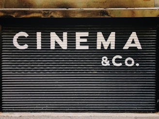 Large, bold white letters spell out 'CINEMA & CO.' on a black, corrugated metal shutter. The background appears industrial and slightly weathered, suggesting a closed or private cinema or entertainment venue.