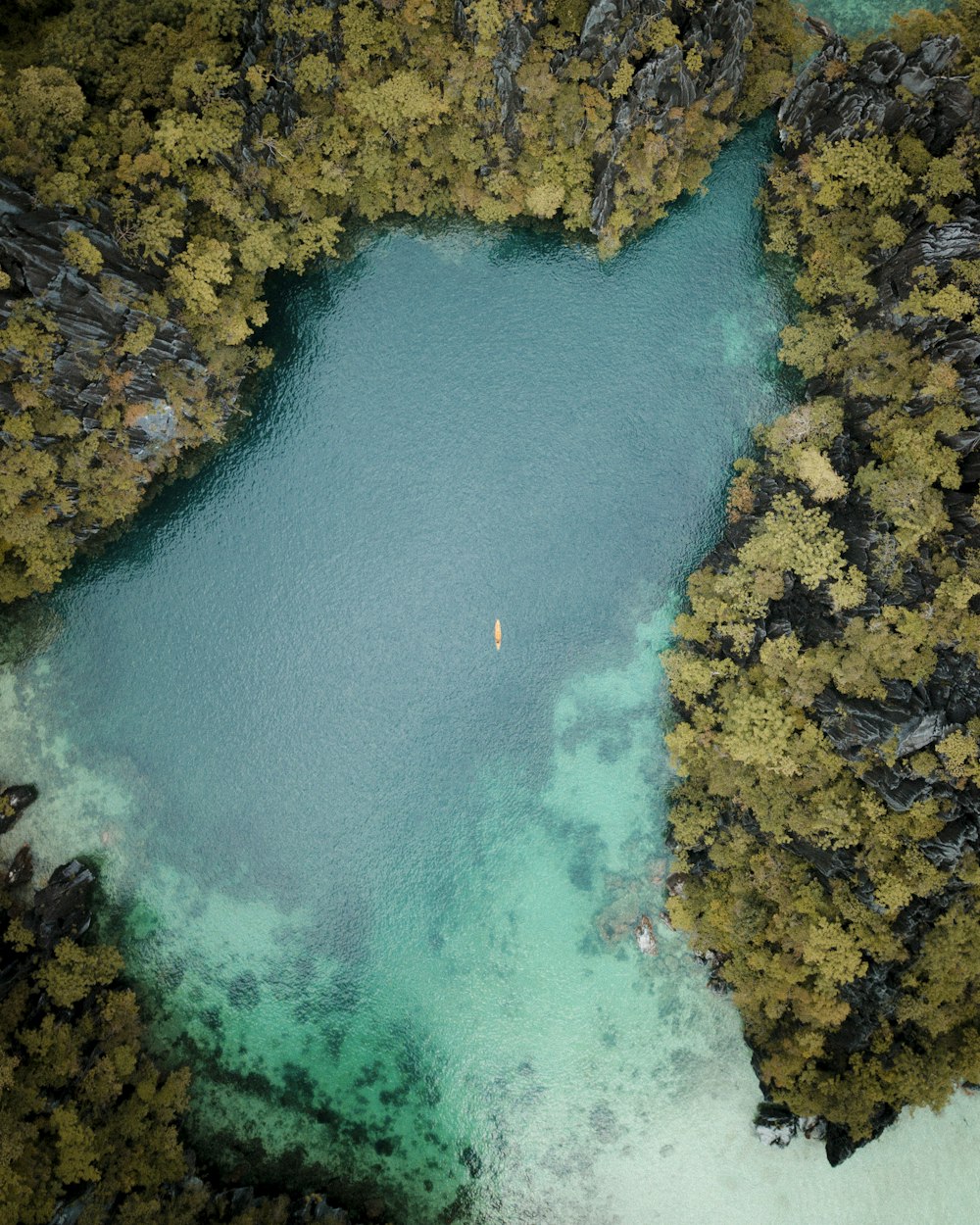 Cuerpo de agua rodeado de árboles