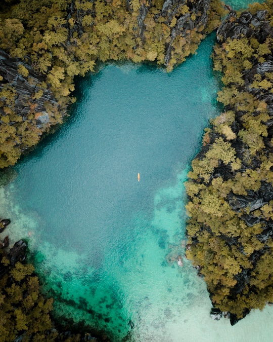 body of water surrounded by trees in Palawan Philippines