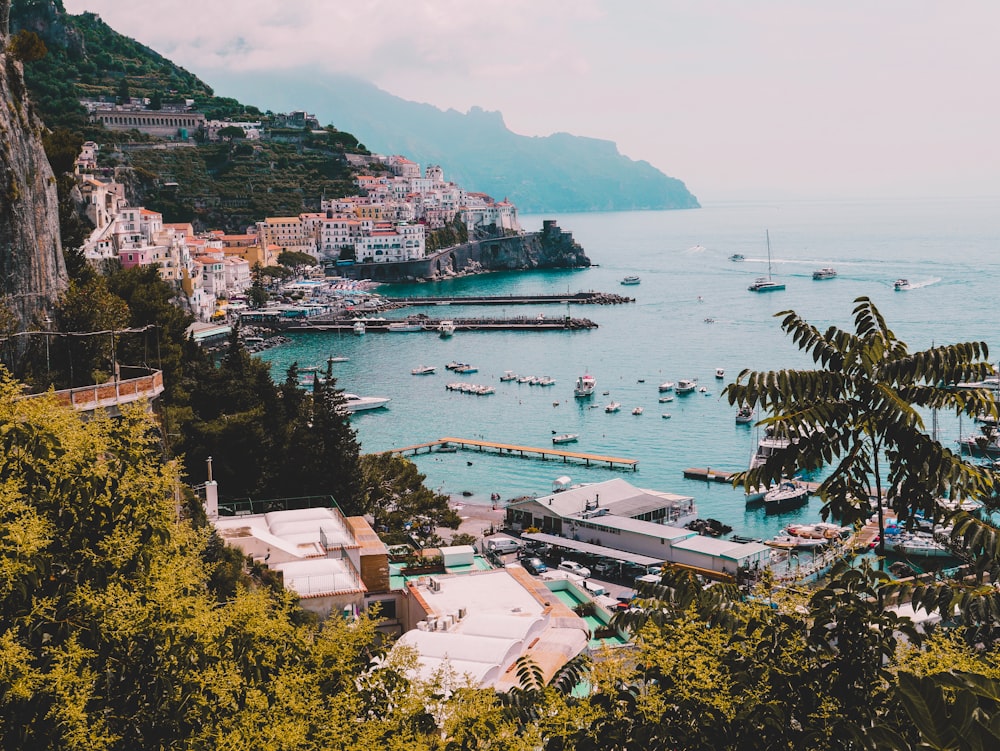 landscape photo of village houses near ocean