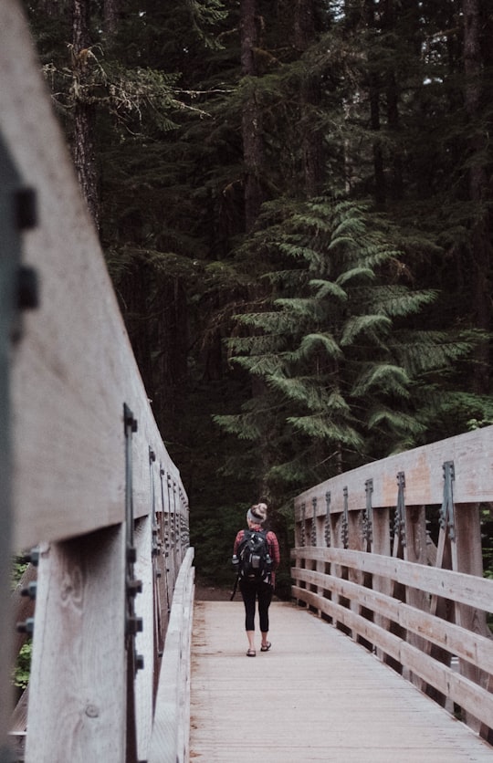 woman walking on brown wooden bridge in Bagby Hot Springs United States