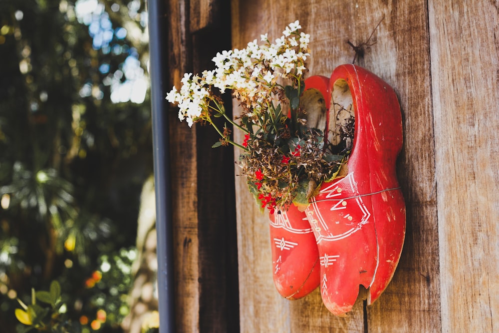 white petaled flower in red clog