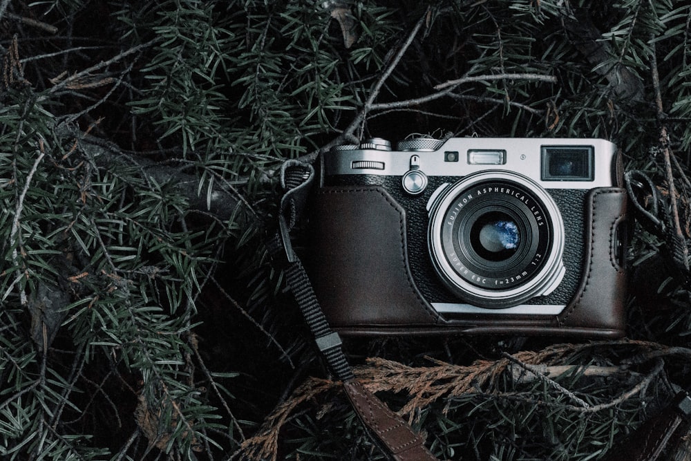 black and gray film camera with black case on green pine tree leaves