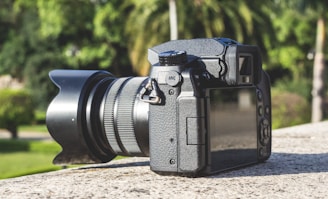 A professional DSLR camera rests on a flat stone surface with a blurred background of lush green trees and grass. The camera is viewed from the back with the LCD screen visible and the lens extending to the left.