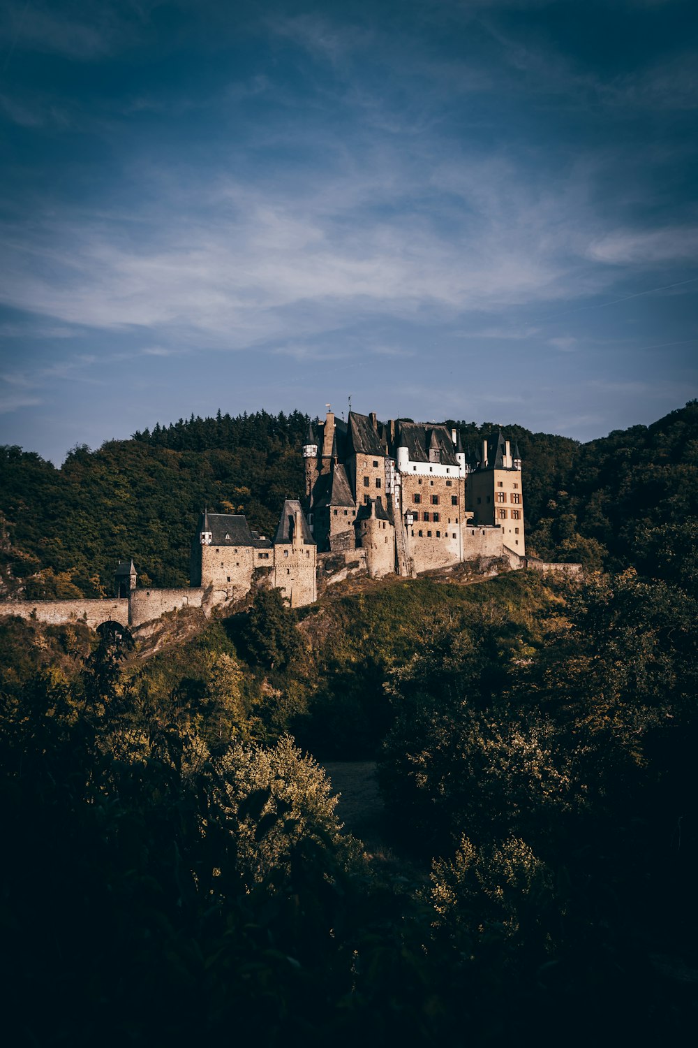 Château en pierre brune entouré d’arbres verts