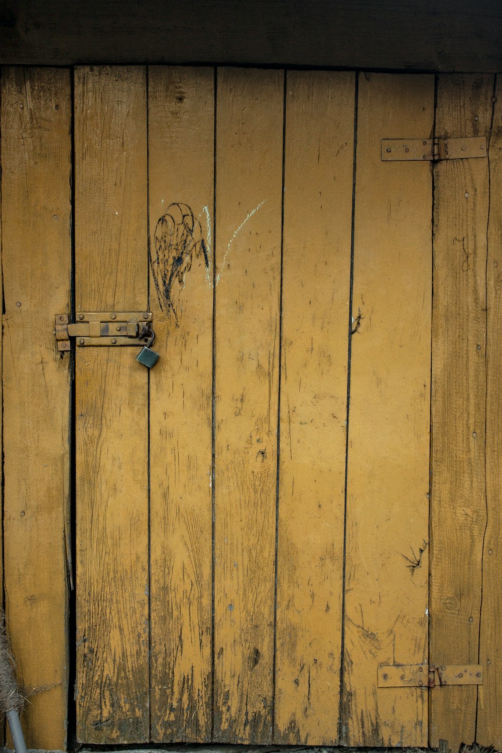 brown wooden panel door