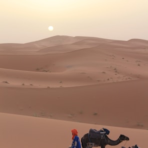 person standing beside camel on desert during daytime