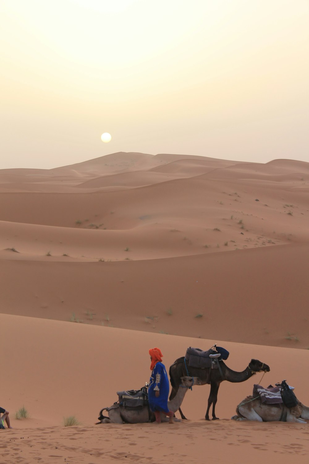 persona in piedi accanto al cammello nel deserto durante il giorno