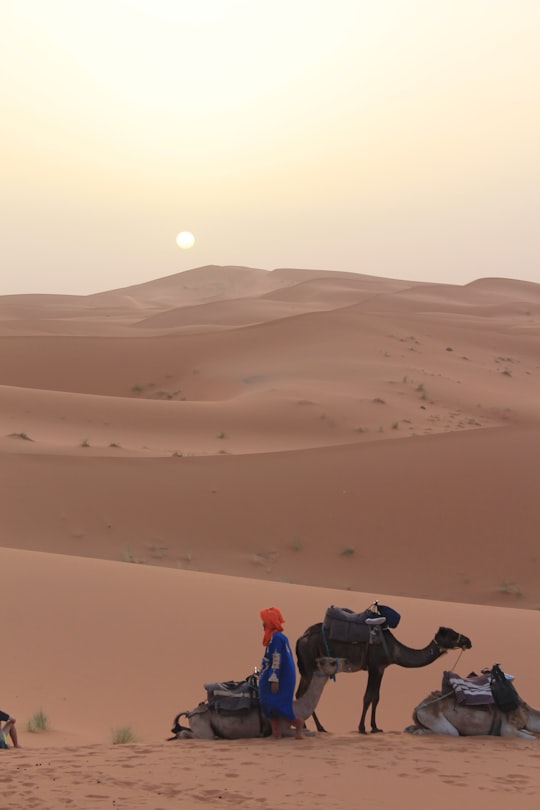 person standing beside camel on desert during daytime in Merzouga Morocco