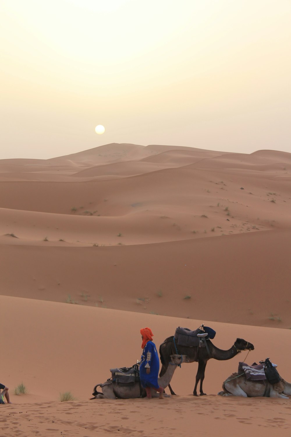 person standing beside camel on desert during daytime
