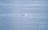 Wide-angle view of a boat cutting through calm waters with a family enjoying the ride.