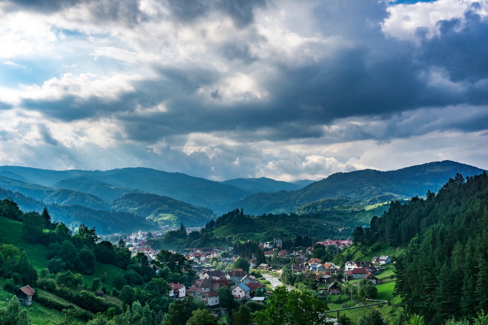 pino verde bajo el cielo azul durante el día