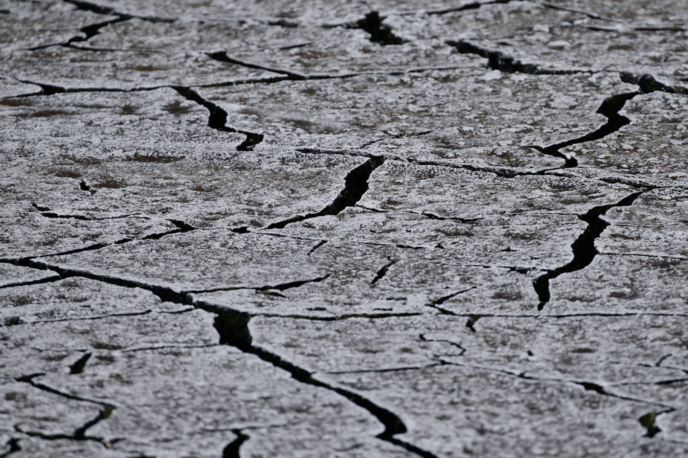 a black and white photo of cracked ground