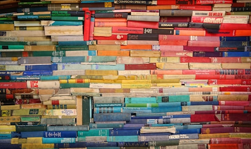 An engaging display of book spines.