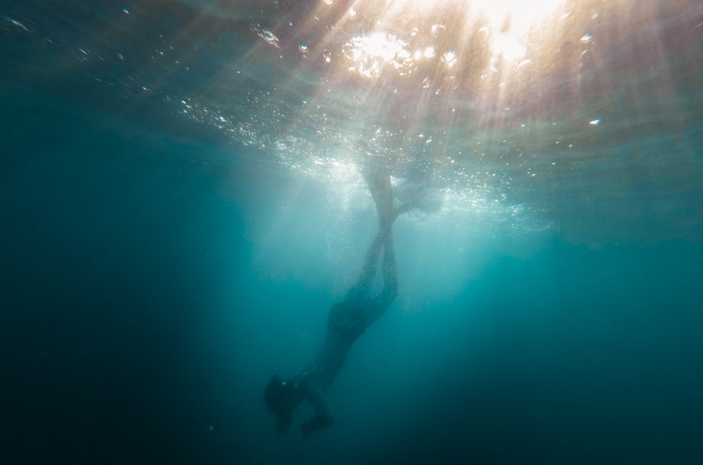 foto subacquea di persona che si immerge