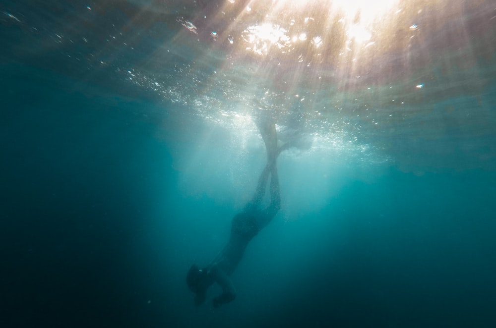 underwater photo of person diving