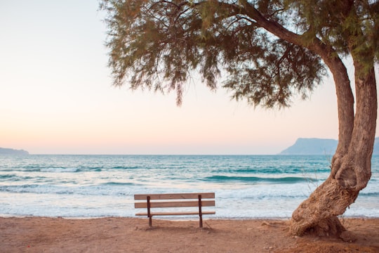 brown bench near seashore in Kissamos Greece