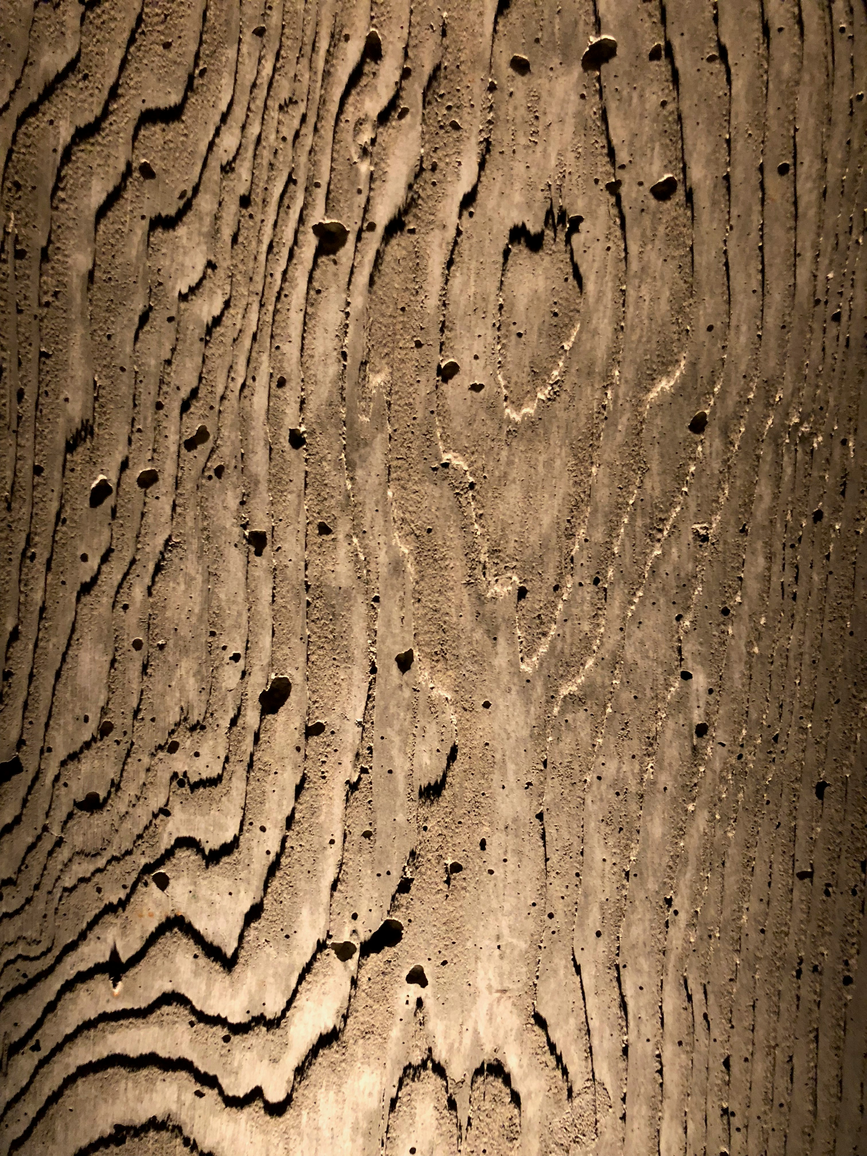 photo-1533673614069-40678174ded4?ixid=M3wxMjA3fDB8MXxzZWFyY2h8MTh8fGxha2llcm9iZWpjYSUyMG5hJTIwZWxld2FjaiVDNCU5OSUyMGRyZXduYSUyMGlsZSUyMHdhcnN0d3xlbnwwfHx8fDE3NjQ1MDIxOTB8MA\u0026ixlib=rb-4.1.0