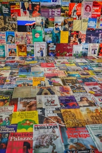 pile of assorted-title book