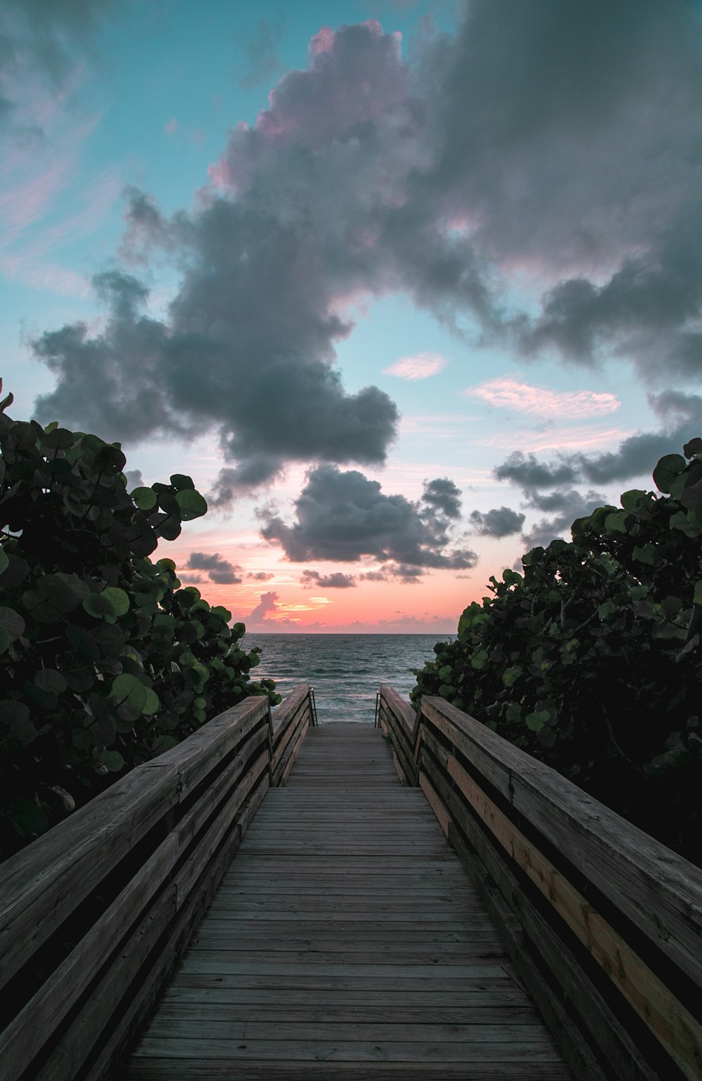 brown wooden dock