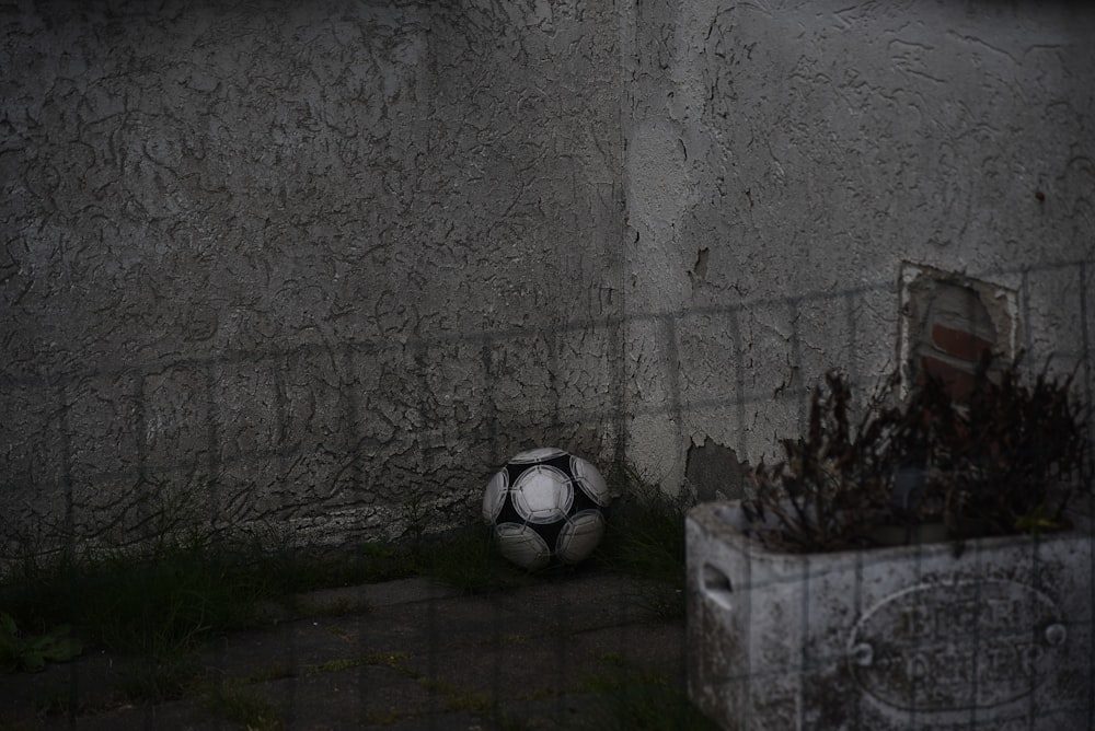 white and black ball near gray fence