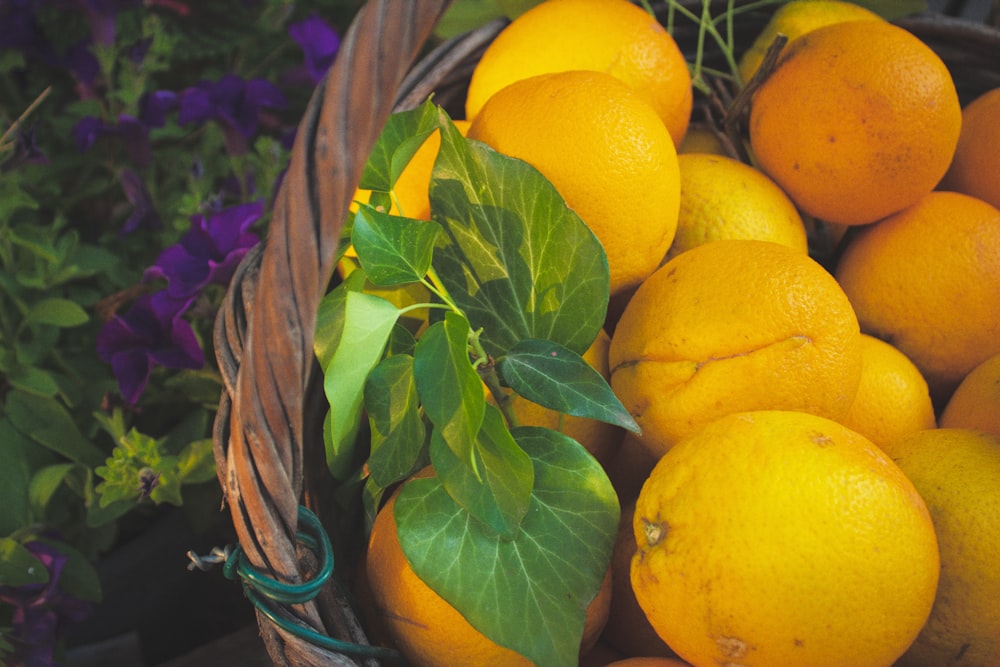 bouquet de fruits oranges dans le panier