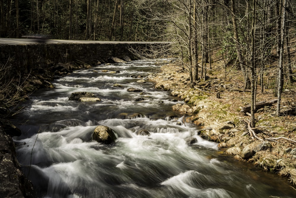 photography of river at daytime