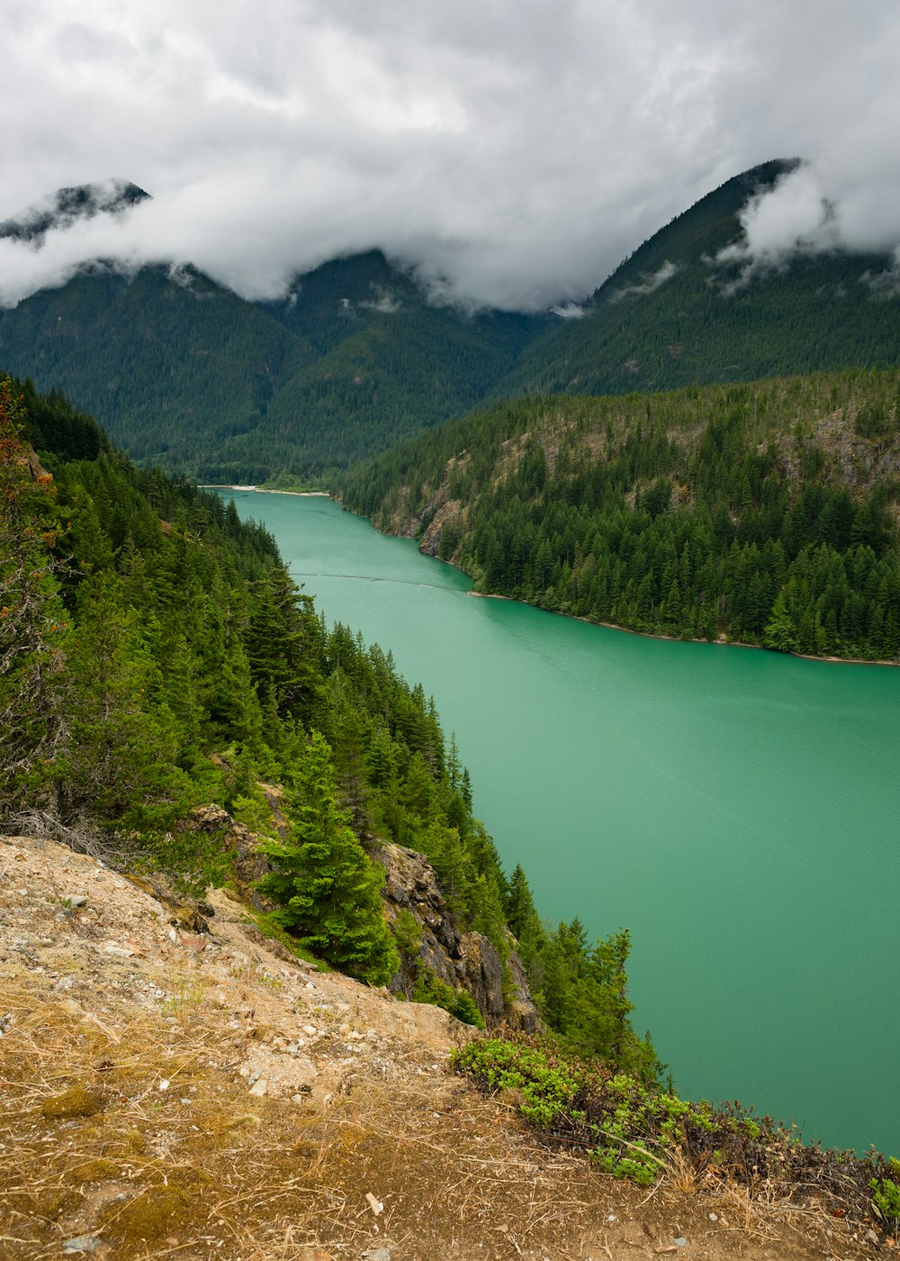 green lake surrounded by green trees and mountains during daytime