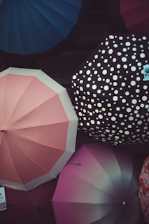 Multiple umbrellas are displayed with a mix of colors and patterns. A pink umbrella is prominent in the foreground, alongside a black one with white polka dots. Additionally, there are umbrellas in shades of purple and blue.