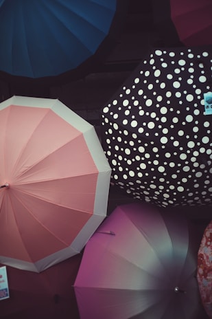 Multiple umbrellas are displayed with a mix of colors and patterns. A pink umbrella is prominent in the foreground, alongside a black one with white polka dots. Additionally, there are umbrellas in shades of purple and blue.