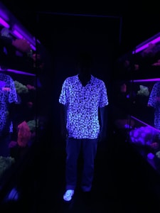 Glow Fishnet Bodysuit