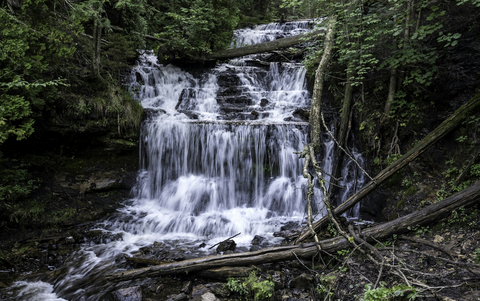 waterfalls in forest during daytime