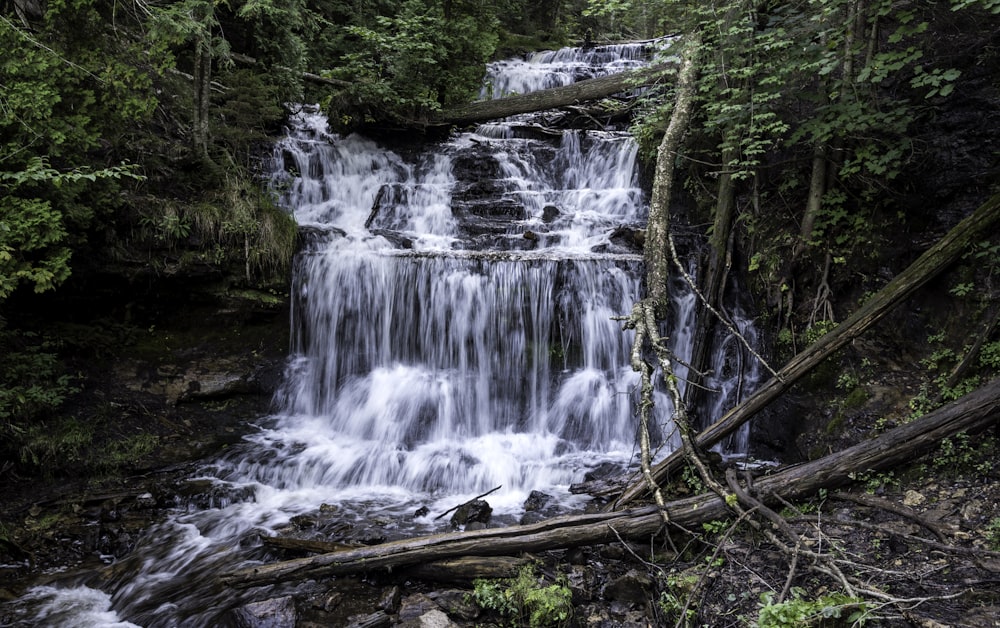 Cascate nella foresta durante il giorno