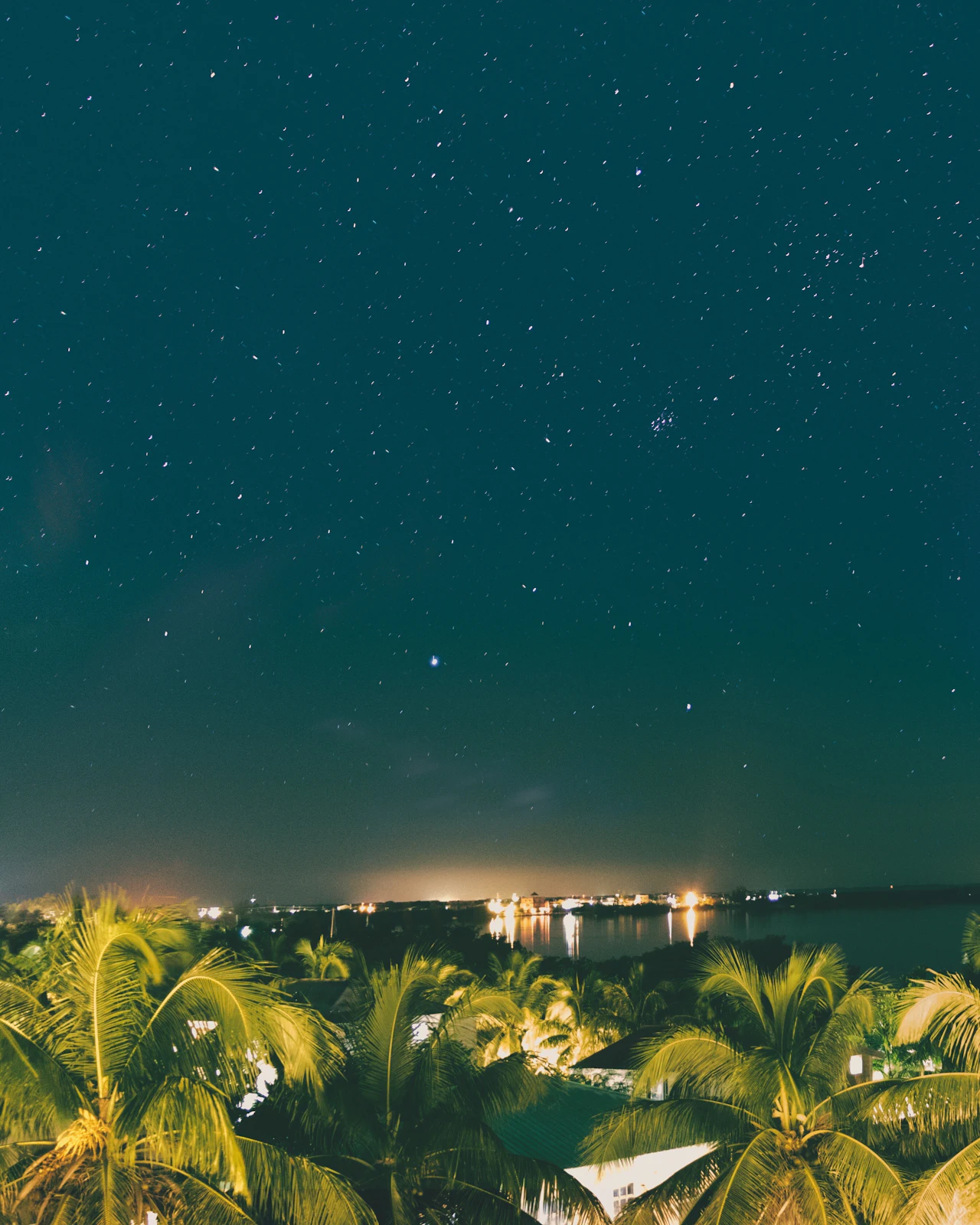 A night sky full of stars above the tops of coconut palms, with the lights of a town strung along the shore in the distance.