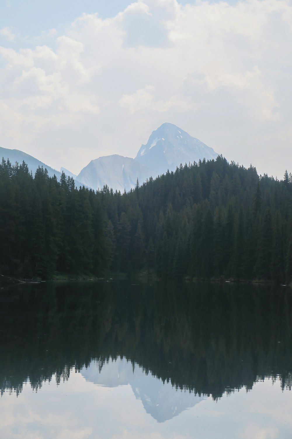 forest, body of water, and clouds during daytime