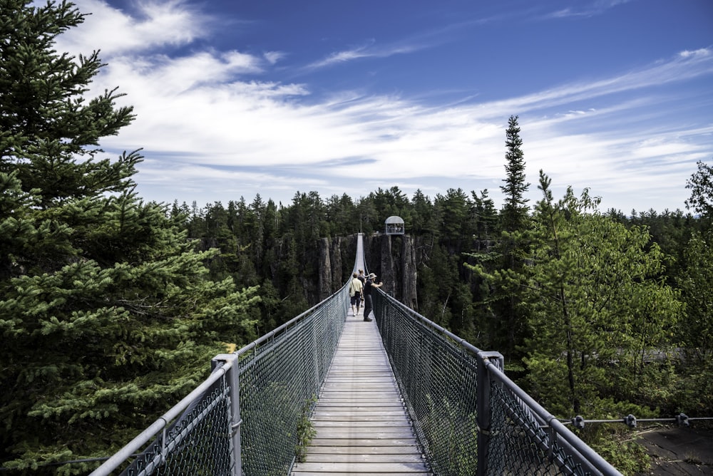 people walking on bridge between pine trees