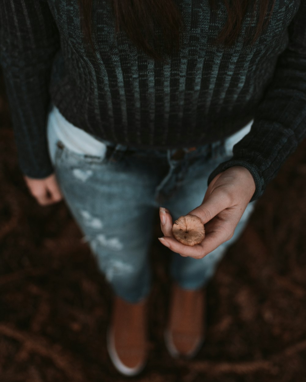 person holding brown nut