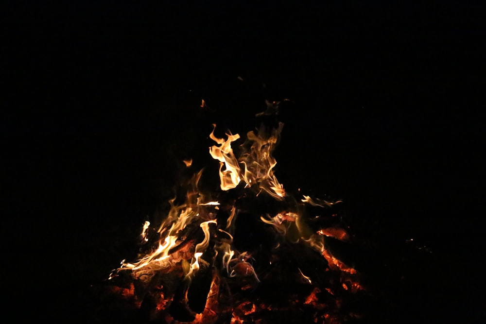 bonfire