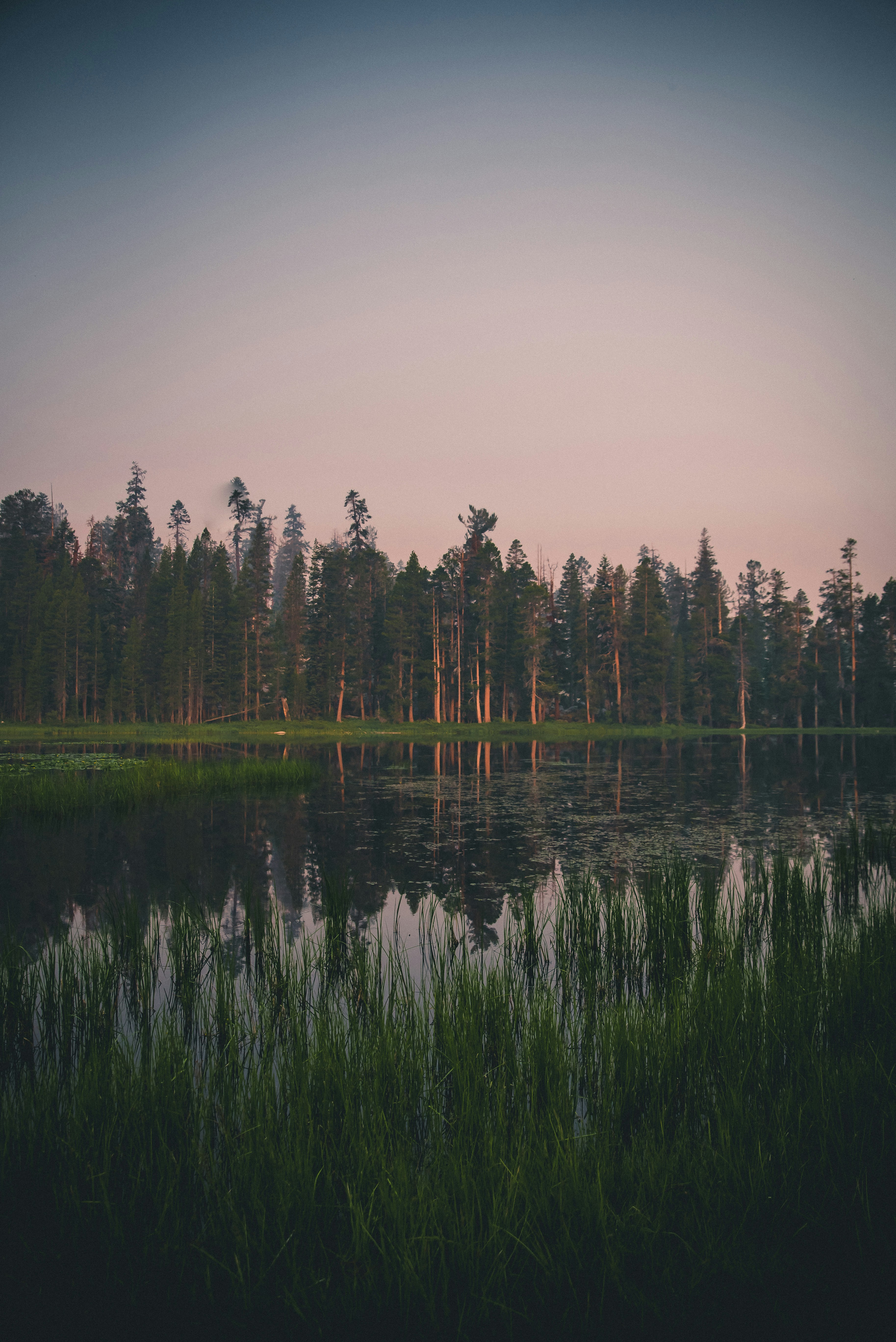 Photo by mischievous_penguins