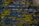 Lines of highlighted computer code appear on a dark screen, with syntax elements in various colors including yellow, blue, white, and purple.