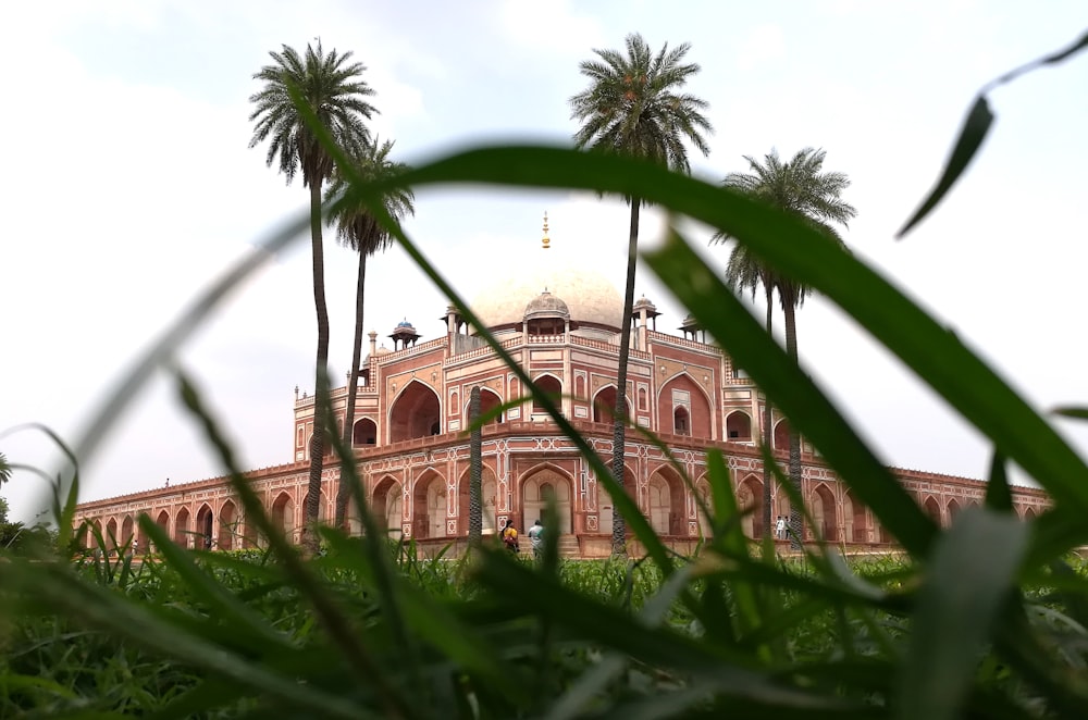 photograph of brown mosque