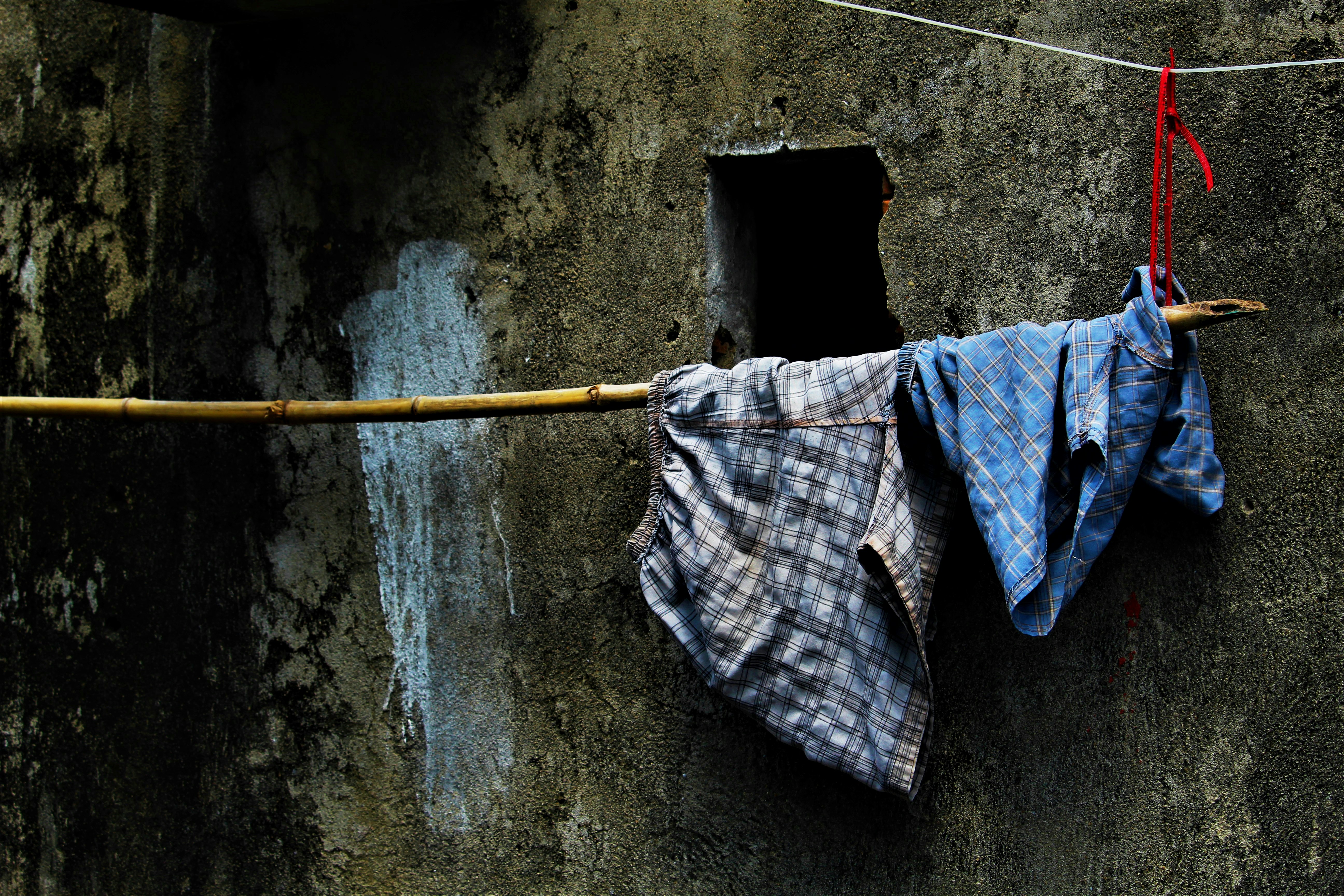 shirts and shorts hanged on branch