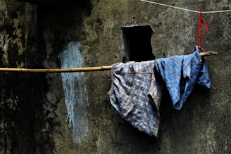 shirts and shorts hanged on branch
