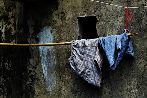 shirts and shorts hanged on branch