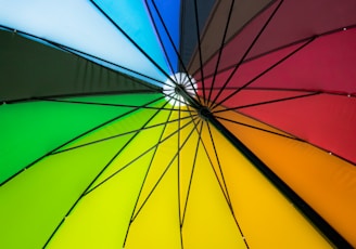 closeup photo of multicolored umbrella