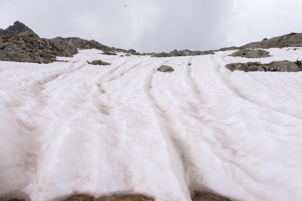 tracks on snow