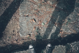 A close-up of worn running shoes resting on a leafy trail, sunlight filtering through the trees.