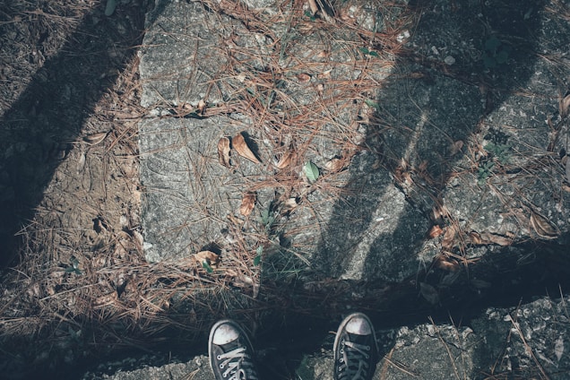 A close-up of worn running shoes resting on a leafy trail, sunlight filtering through the trees.