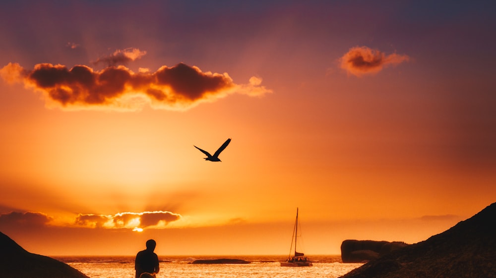 silhouette of man and bird painting