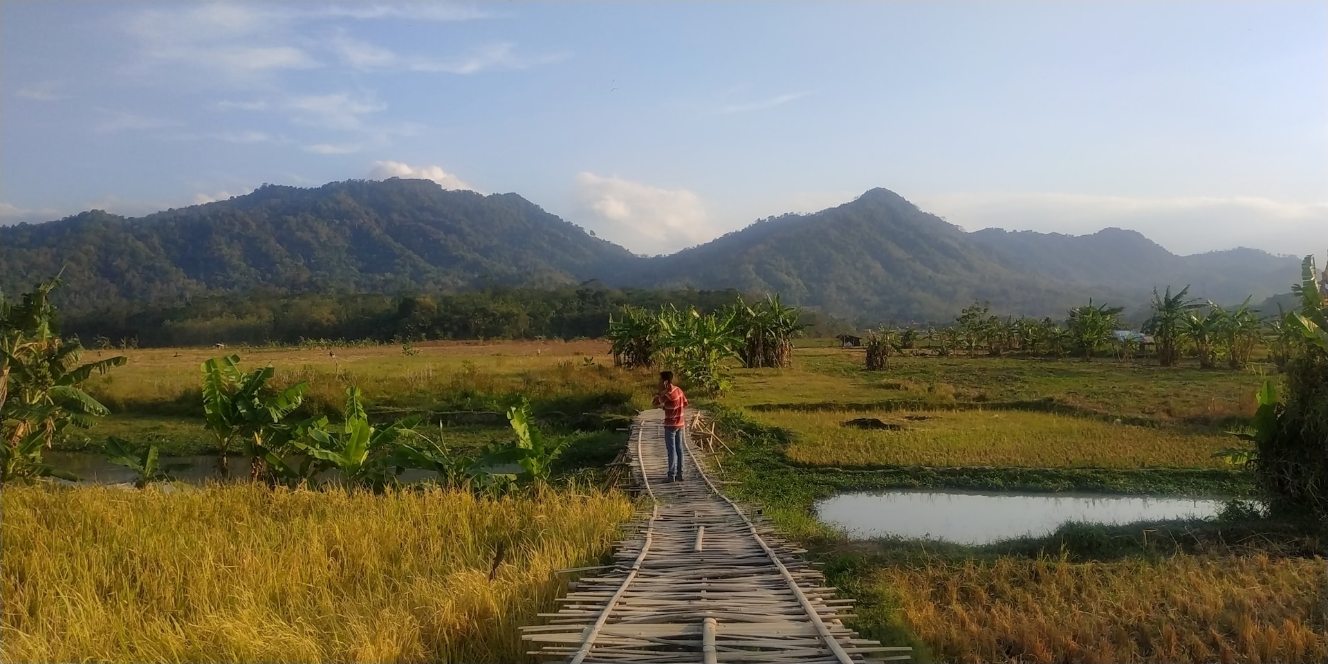 black and white bed linen